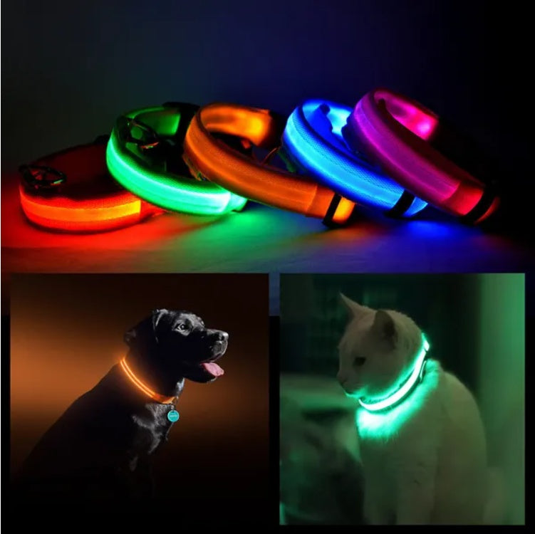 Collar de Seguridad LED para Mascotas con Iluminación Flashante y Visible hasta 1000 Pies | Iluminación LED Protección para Perros y Gatos