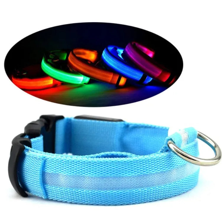 Collar de Seguridad LED para Mascotas con Iluminación Flashante y Visible hasta 1000 Pies | Iluminación LED Protección para Perros y Gatos