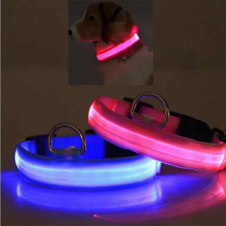 Collar de Seguridad LED para Mascotas con Iluminación Flashante y Visible hasta 1000 Pies | Iluminación LED Protección para Perros y Gatos
